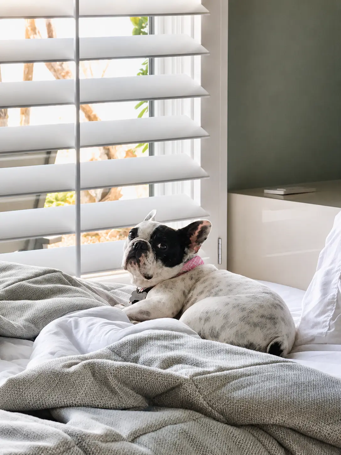 White plantation shutters in an Aliso Viejo bedroom after a Golden West install
